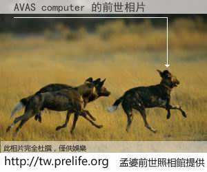 AVAS computer 的前世相片