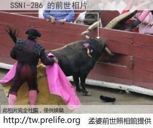 SSNI-286 的前世相片