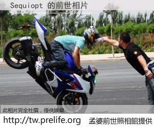 Sequiopt 的前世相片