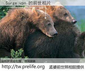 Surge vpn 的前世相片
