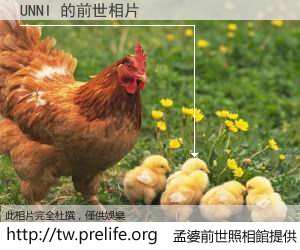 UNNI 的前世相片