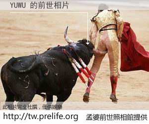 YUWU 的前世相片