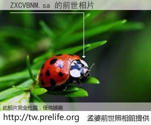 ZXCVBNM.sa 的前世相片