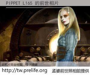 PIPPET L165 的前世相片