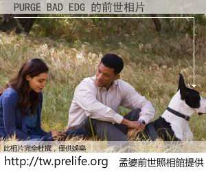 PURGE BAD EDG 的前世相片