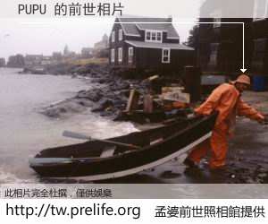 PUPU 的前世相片