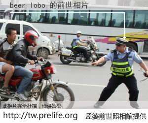 beer lobo 的前世相片