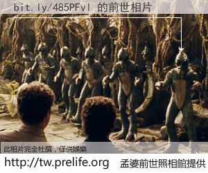 bit.ly/485PFvl 的前世相片