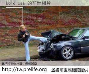 bold css 的前世相片