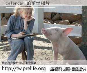 calendar 的前世相片