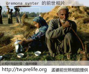 cremona synter 的前世相片