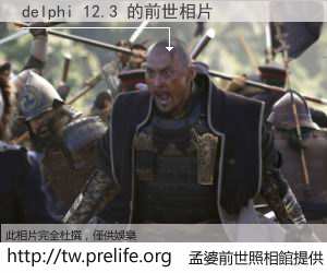 delphi 12.3 的前世相片