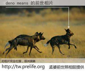 deno means 的前世相片