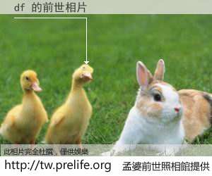 df 的前世相片