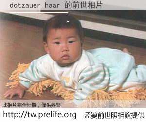 dotzauer haar 的前世相片