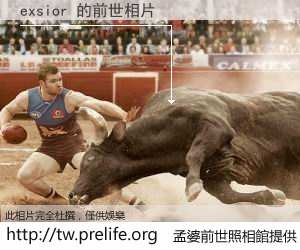 exsior 的前世相片