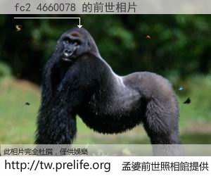 fc2 4660078 的前世相片