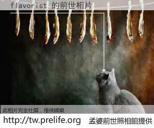 flavorist 的前世相片