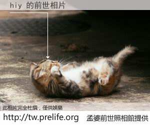 hiy 的前世相片
