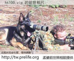 ht100.vip 的前世相片
