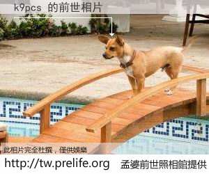 k9pcs 的前世相片