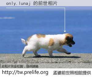 only.lunaj 的前世相片