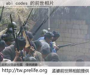 abi codes 的前世相片