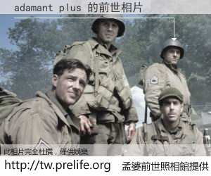 adamant plus 的前世相片