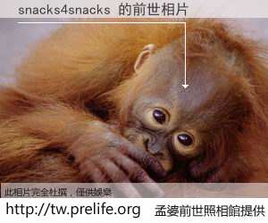 snacks4snacks 的前世相片