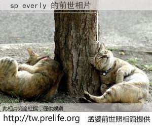 sp everly 的前世相片