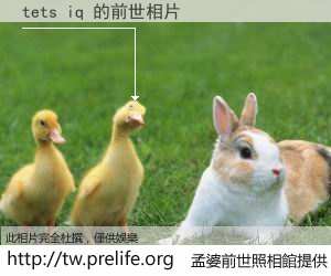 tets iq 的前世相片