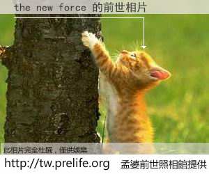 the new force 的前世相片