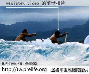 vegjatek videa 的前世相片
