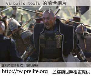 vs build tools 的前世相片