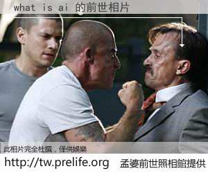 what is ai 的前世相片