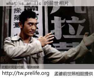 what is an llc 的前世相片