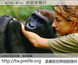 winn dixi 的前世相片
