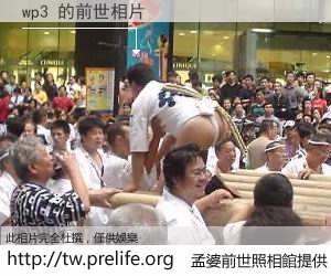 wp3 的前世相片