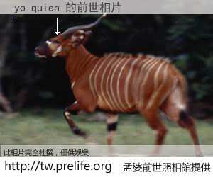 yo quien 的前世相片