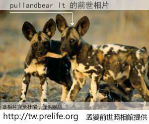 pullandbear lt 的前世相片