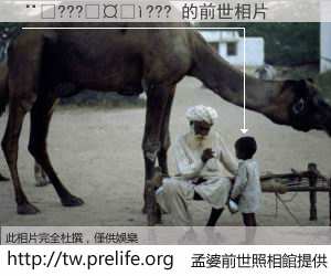 ��???����??? 的前世相片