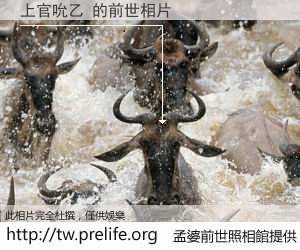 上官吮乙 的前世相片
