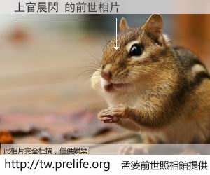 上官晨閃 的前世相片