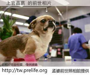 上官晶葛 的前世相片