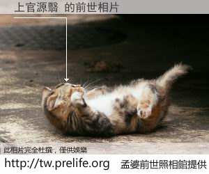 上官源翳 的前世相片