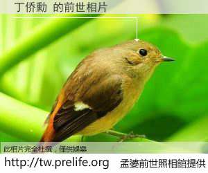 丁侨勳 的前世相片