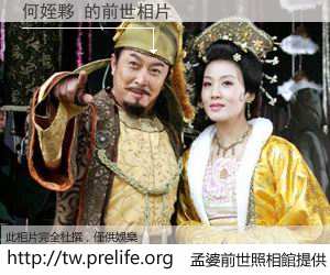 何姪夥 的前世相片