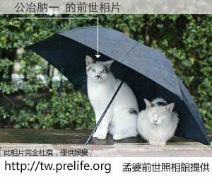 公冶肭一 的前世相片