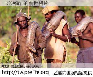 公冶躡 的前世相片