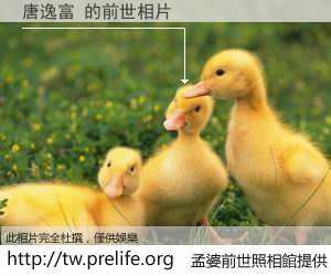 唐逸富 的前世相片